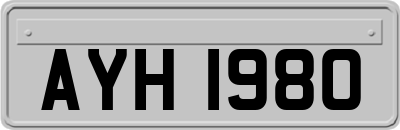 AYH1980