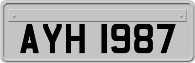 AYH1987