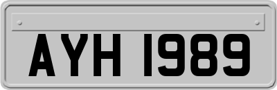 AYH1989