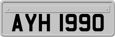 AYH1990