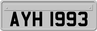 AYH1993