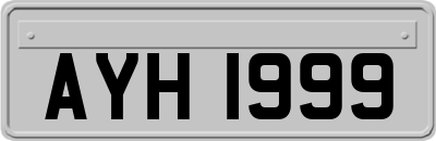 AYH1999