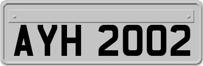 AYH2002