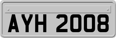AYH2008