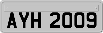 AYH2009