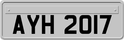 AYH2017