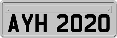 AYH2020