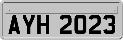 AYH2023