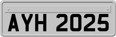 AYH2025