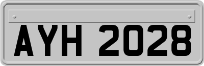 AYH2028