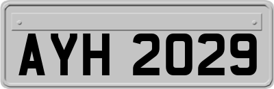 AYH2029