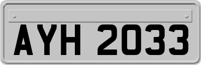 AYH2033