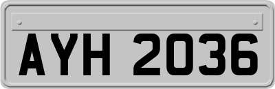 AYH2036