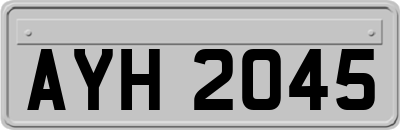 AYH2045