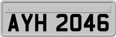 AYH2046