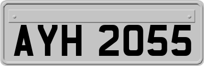 AYH2055