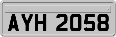 AYH2058