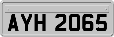 AYH2065