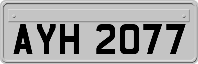 AYH2077