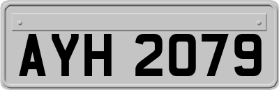 AYH2079