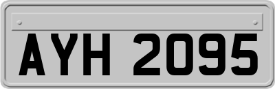 AYH2095