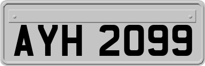 AYH2099