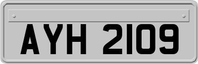 AYH2109