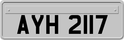 AYH2117