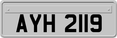 AYH2119