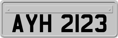 AYH2123