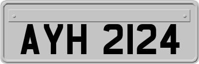 AYH2124