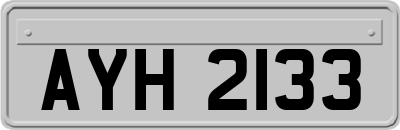 AYH2133