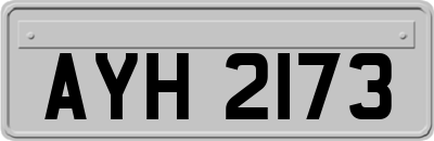 AYH2173