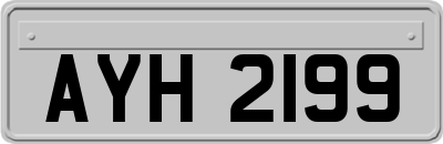 AYH2199