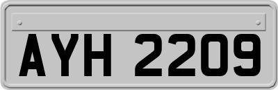 AYH2209