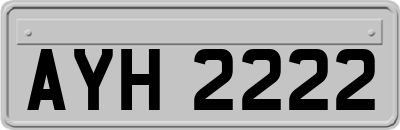 AYH2222
