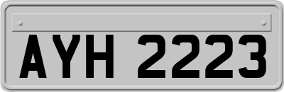 AYH2223