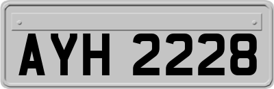AYH2228