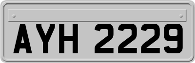 AYH2229