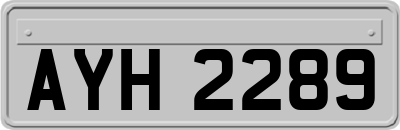 AYH2289