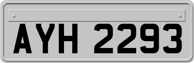 AYH2293