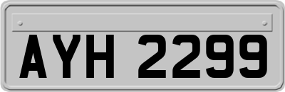 AYH2299