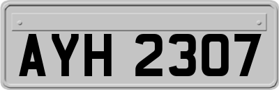 AYH2307