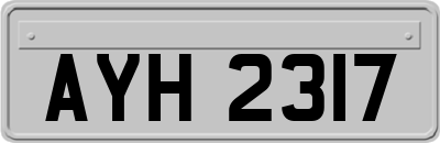 AYH2317