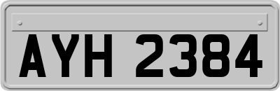 AYH2384