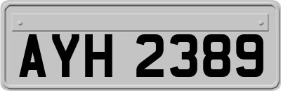 AYH2389