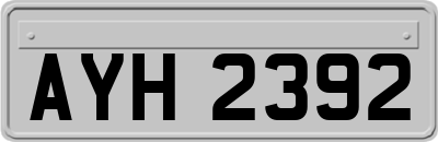 AYH2392