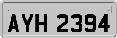 AYH2394