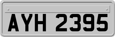 AYH2395