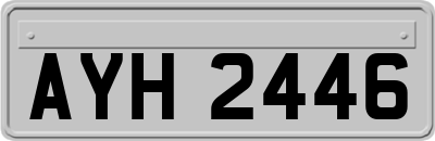 AYH2446